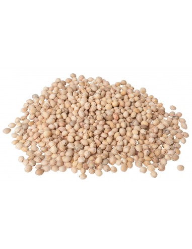 Cherry stones in bulk 500 gr